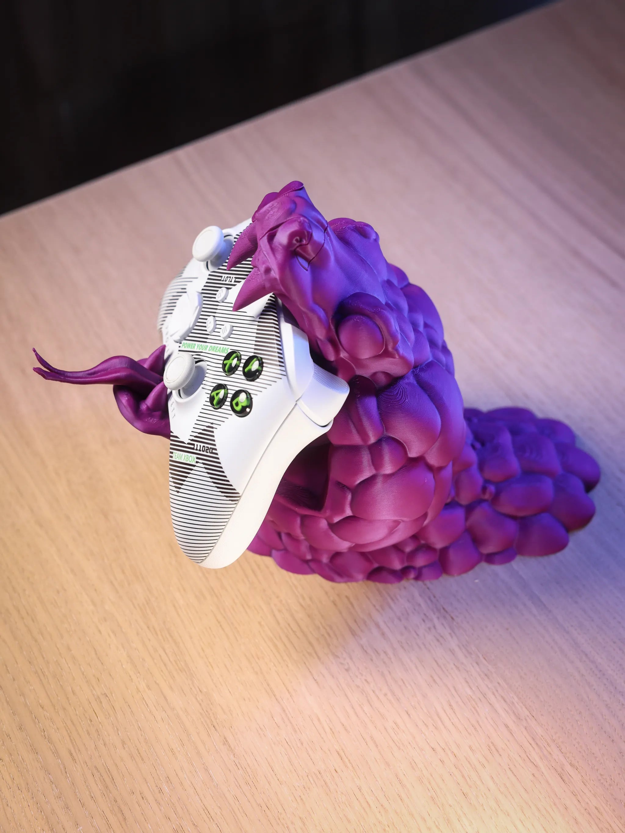 Snake Controller Holder