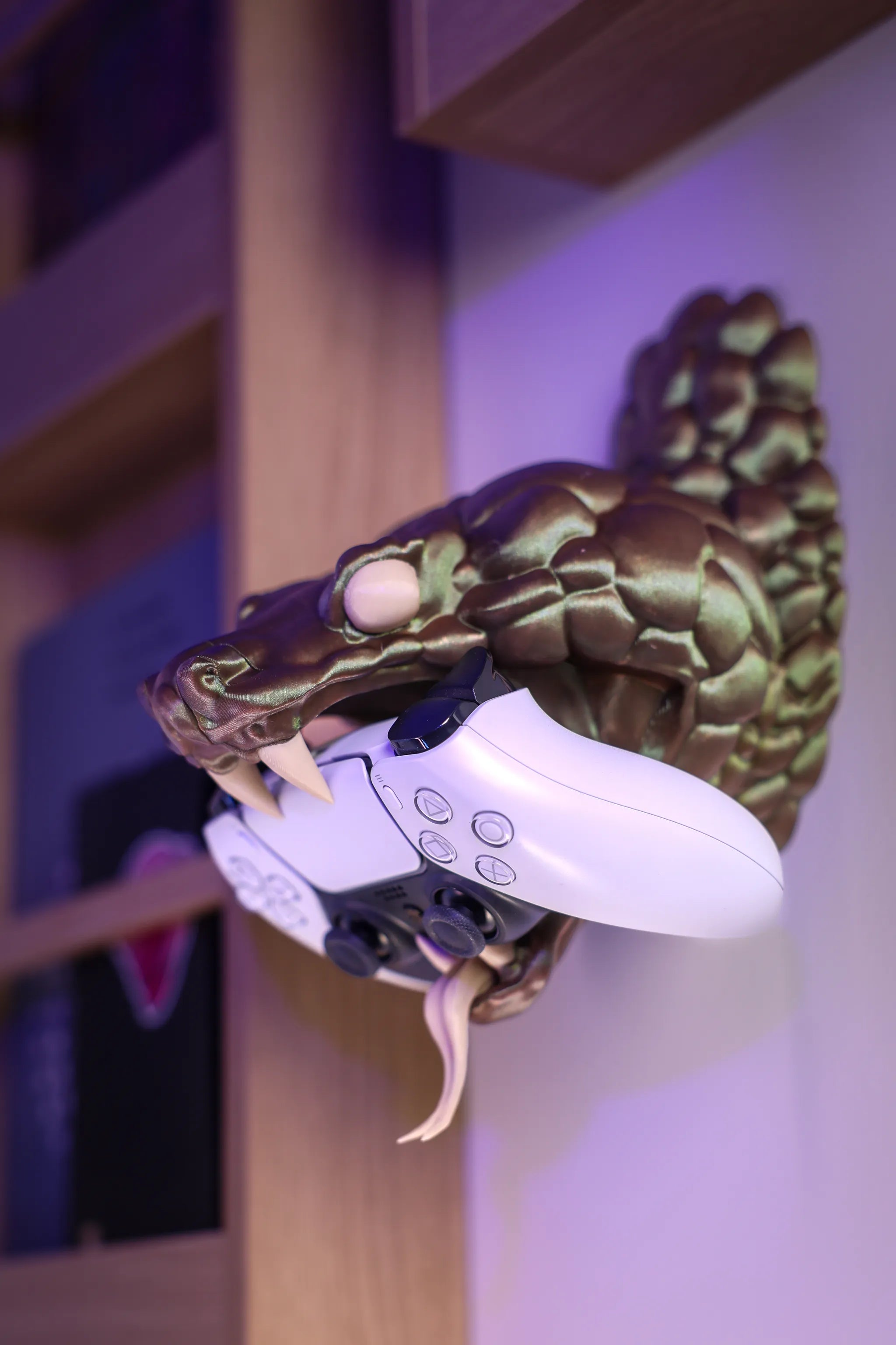 Snake Controller Holder