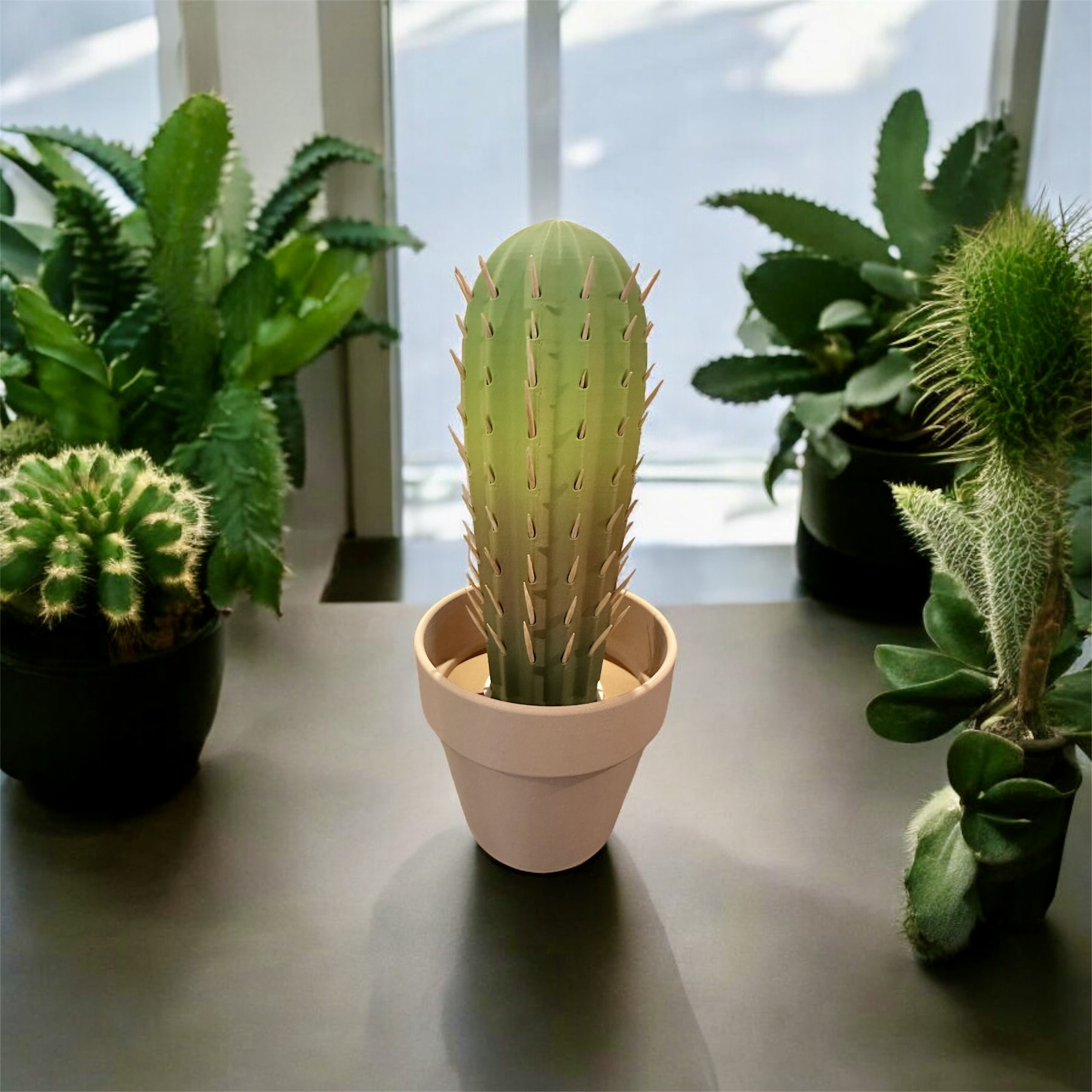 Party Cactus